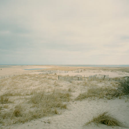 Cape2008_01_final.jpg