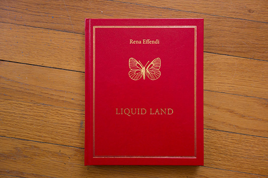 Effendi_LiquidLand.jpg