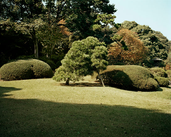 EmilyShur_Japan.jpg