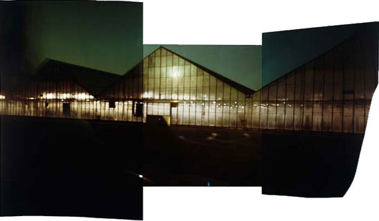 GaborOsz.jpg