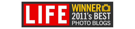 LIFE-award-logo-large.png