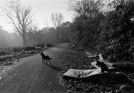 MarkSteinmetz_04.jpg