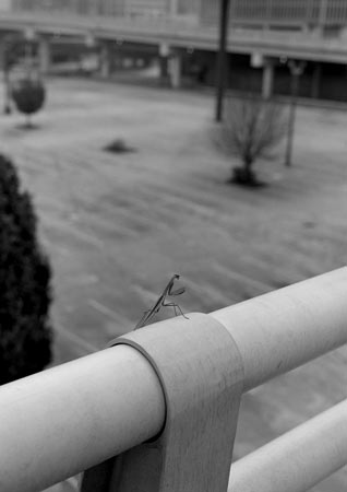 MarkSteinmetz_05.jpg