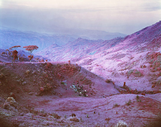 RIM11.022-Herd-at-Dusk-HRsm.jpg