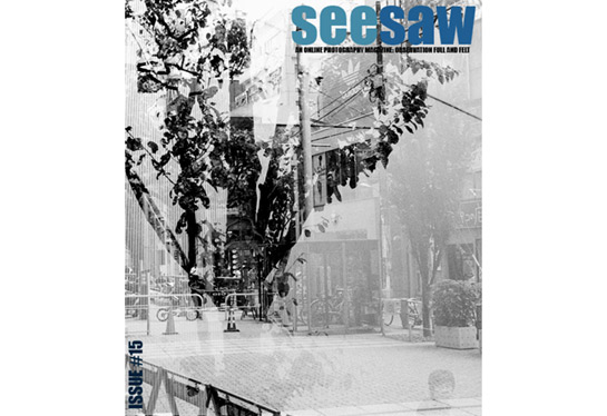 seesawcoverissue15.jpg