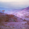 RIM11.022-Herd-at-Dusk-HR.jpg