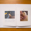 Alec-Soth---The-Auckland-Project---poster-02.jpg