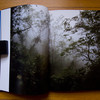Schena---SP67---spread-03.jpg
