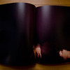 Schena---SP67---spread-08.jpg