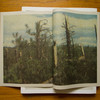 Jude---Lick-Creek---booklet-03.jpg