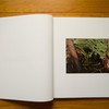 Jude---Lick-Creek---spread-01.jpg