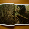 Jude---Lick-Creek---spread-04.jpg