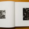 Hirakawa---Union---spread-02.jpg