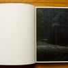Lange---Wald---spread-01.jpg