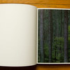Lange---Wald---spread-02.jpg