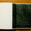 Lange---Wald---spread-03.jpg