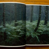 Lange---Wald---spread-04.jpg