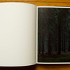 Lange---Wald---spread-05.jpg