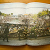 Obara---Fukushima---spread-15.jpg