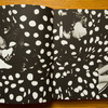 Spagnoli---Dreaming---spread-05.jpg
