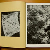 Gossage---Putting---spread-05.jpg