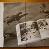 Araki---Paradise---end-paper.jpg