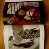 Araki---Paradise---spread-09.jpg