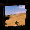 Dalia_Khamissy05.jpg