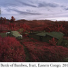 RichardMosse03.jpg