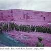 RichardMosse06.jpg