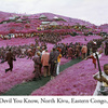 RichardMosse07.jpg