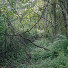 DaltonRooney02.jpg