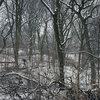 DaltonRooney05.jpg