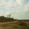 AliaMalley01.jpg