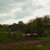 AliaMalley03.jpg