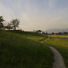 AliaMalley04.jpg