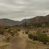 AliaMalley06.jpg