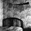 MiltonRogovin_Appalachia046.jpg